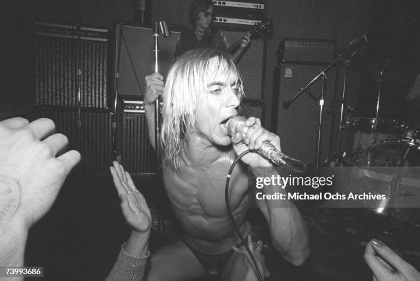 Punk rocker Iggy Pop performs onstage at the Whisky A Go Go in 1973 in Los Angeles, California.