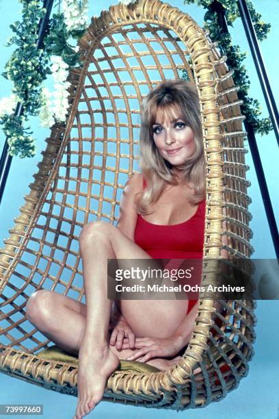 Actress Sharon Tate poses for a portrait in a wicker swing chair in circa 1968.