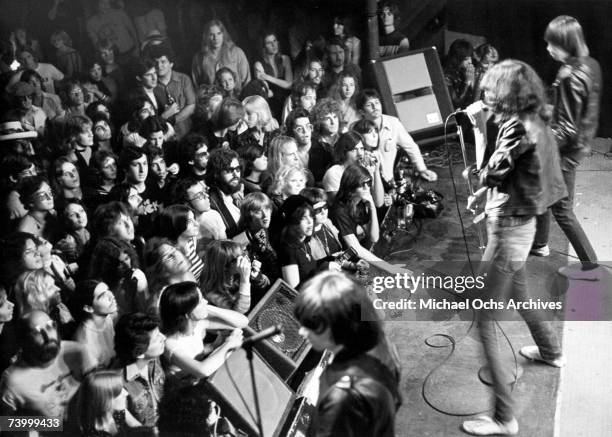 Punk group The Ramones performing onstage, circa 1977.