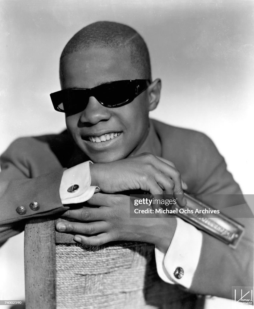 Stevie Wonder Portrait