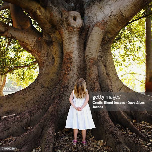 girl looking up at tree - girl tree foto e immagini stock