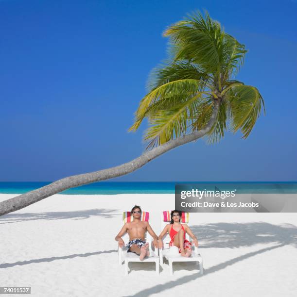 couple sitting in beach chairs under palm tree - pechos de mujer playa fotografías e imágenes de stock