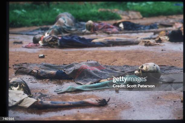 Skeletal remains lie on the ground May 5, 1994 in Rukara, Rwanda. Hundreds of Tutsis were killed at the Rukara Catholic mission April, 1994 in one of...