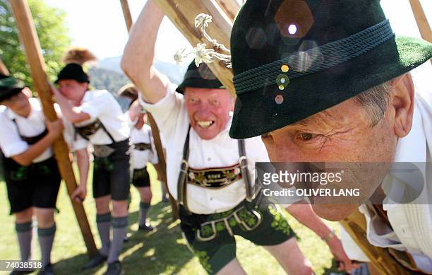 Bayrisch Gmain, GERMANY: Forty men in traditional Bavarian style clothes erect a may tree 01 May 2007 in Bayrisch Gmain, southern Germany. The...