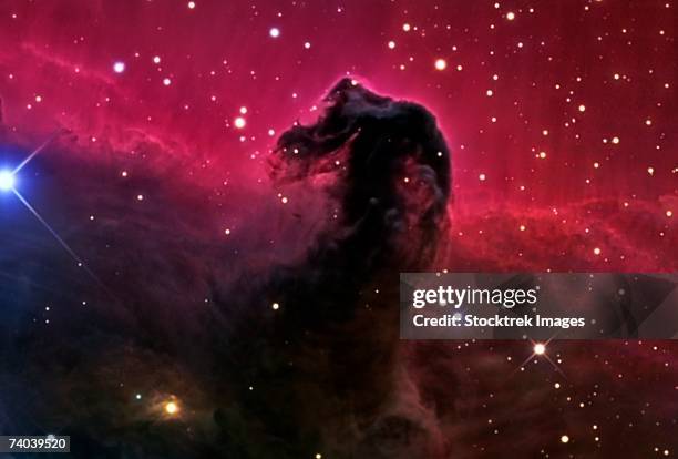 the horsehead nebula - nebulosa cabeza de caballo fotografías e imágenes de stock