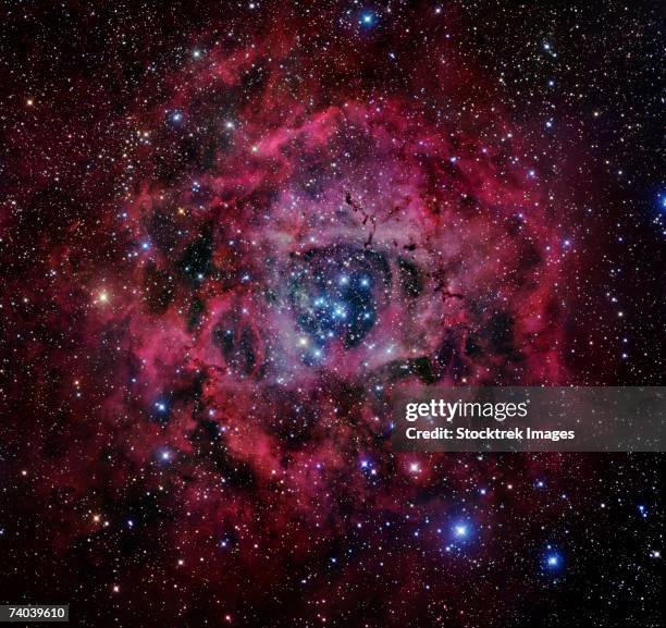 the rosette nebula is a large, circular h ii region located near one end of a giant molecular cloud in the constellation monoceros. - flower head stock pictures, royalty-free photos & images