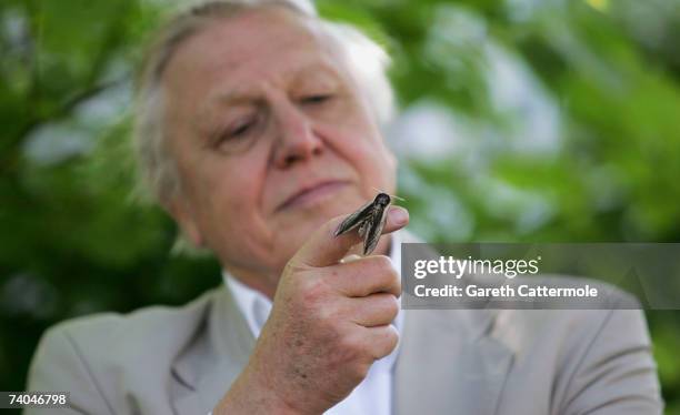 Sir David Attenborough launches National Moth Recording Scheme at London Zoo on May 2, 2007 in London. The scheme is run by Butterfly Conversation,...