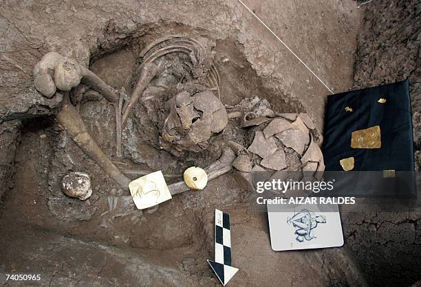 Human skeleton dating from the Tiwanaku culture found at a site in Tiwanaku, Bolivia is shown to the press 02 May, 2007. The human remains of a young...
