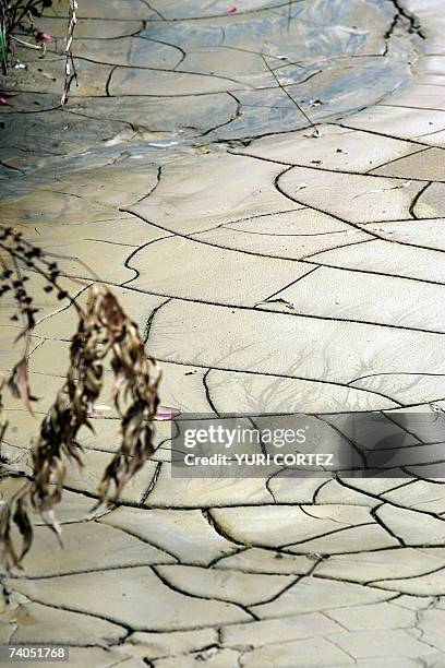 The banks of "El Reventado River" in Cartago, some 25 km from San Jose, are seen cracking 02 May 2007. According to some ecologist organizations El...