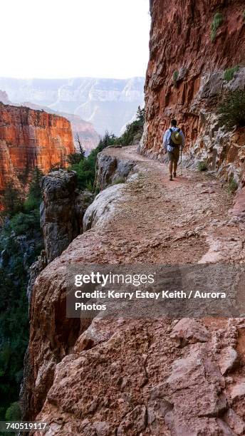 man walking along steep trail on north rim of grand canyon, arizona, usa - kerry estey keith stock pictures, royalty-free photos & images