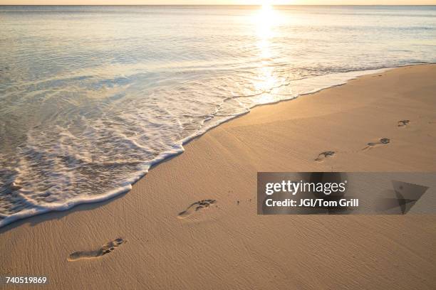 footprints on beach - fußabdruck stock-fotos und bilder