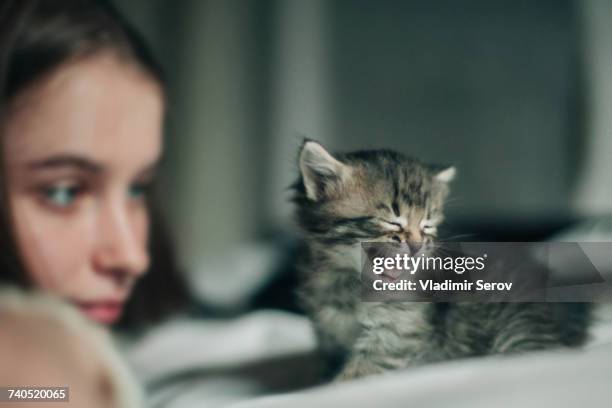 caucasian woman watching yawning kitten - ニャーニャー鳴く ストックフォトと画像