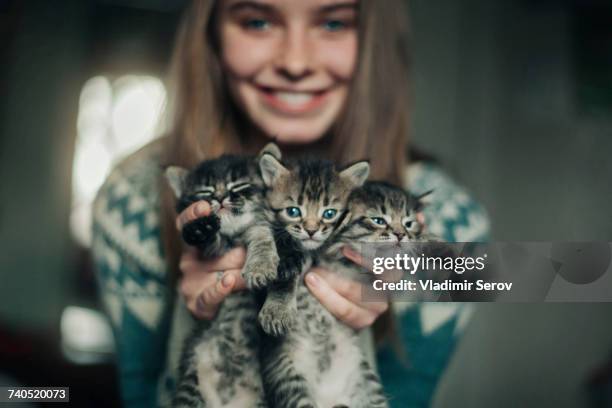 caucasian woman holding kittens - cat eye woman stock pictures, royalty-free photos & images