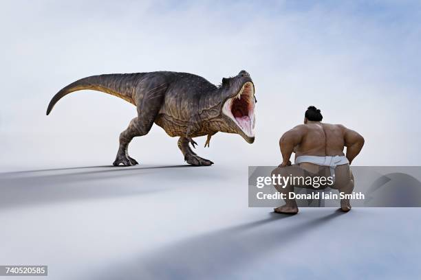 sumo wrestler facing fierce dinosaur - sumô - fotografias e filmes do acervo