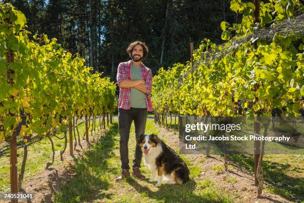 hispanic man posing in vineyard with dog - whidbey island bildbanksfoton och bilder