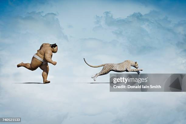 sumo wrestler chasing cheetah - cat vr stock-fotos und bilder