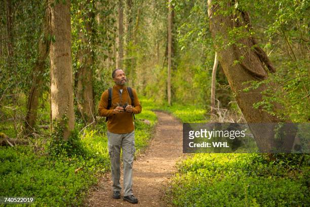 african american man walking on path in forest holding binoculars - binoculars woods stock-fotos und bilder