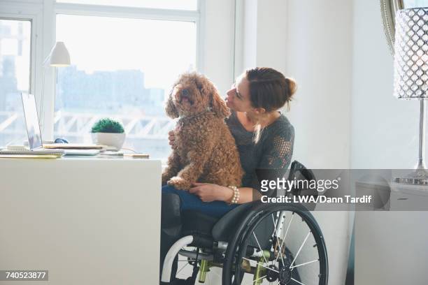 caucasian woman in wheelchair with dog in lap - business recovery stock pictures, royalty-free photos & images