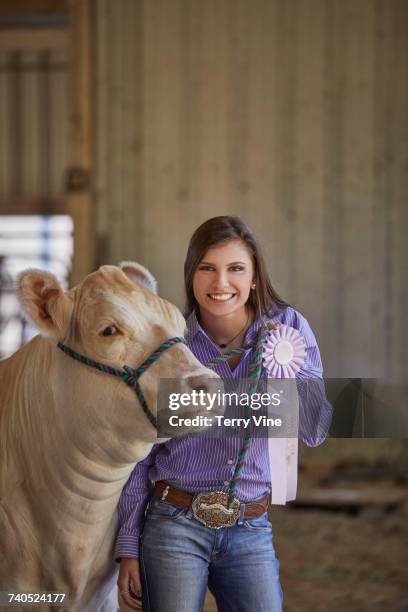 mixed race teenage girl posing with cow showing award ribbon - awards 2017 show stock pictures, royalty-free photos & images