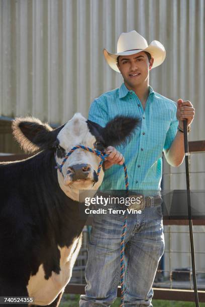caucasian man posing with cow - livestock show stock pictures, royalty-free photos & images