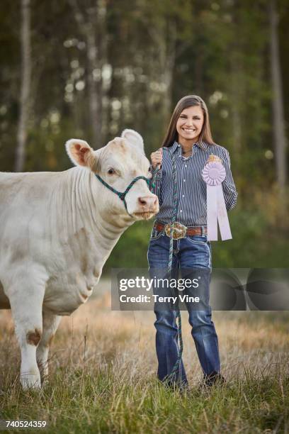 mixed race teenage girl posing with cow and award ribbon in field - teen awards stock pictures, royalty-free photos & images
