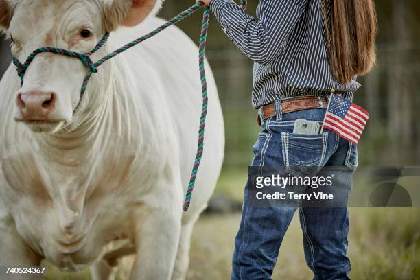 mixed race teenage girl with cow in field and american flag in pocket - livestock show fotografías e imágenes de stock