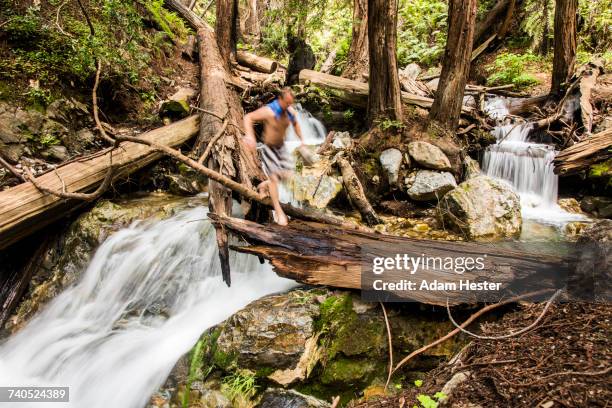 River Log Riding 30 Walking On Log Over River Stock Photos, High-Res Pictures, and ...