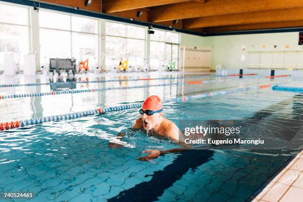 senior man swimming in swimming pool - exercising indoors stock pictures, royalty-free photos & images