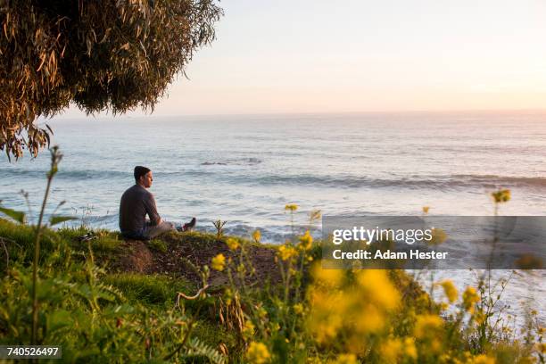 caucasian man admiring scenic view of ocean at sunset - oakland alameda ストックフォトと画像