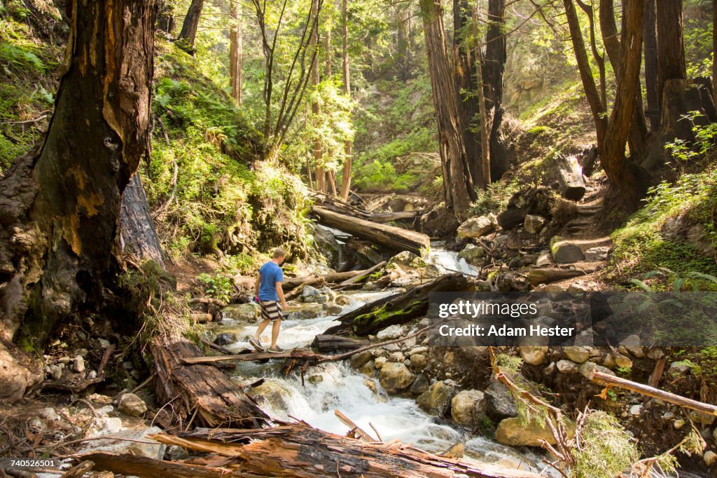 Caucasian man walking on wooden plank over forest stream