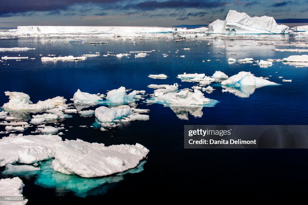 Calm waters with ice floes, Antarctic Sound