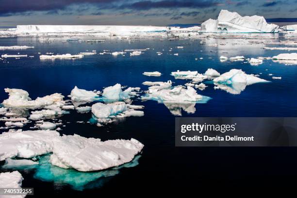 calm waters with ice floes, antarctic sound - antarctic sound 個照片及圖片檔
