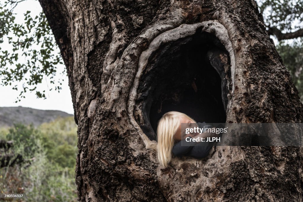 Young boy, in hollow of tree, sleeping