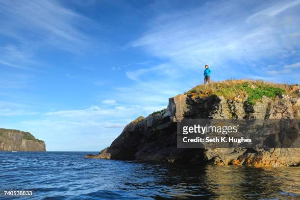 mid adult woman looking out from coastal cliff, st johns, newfoundland, canada - セントジョンズ ストックフォトと画像