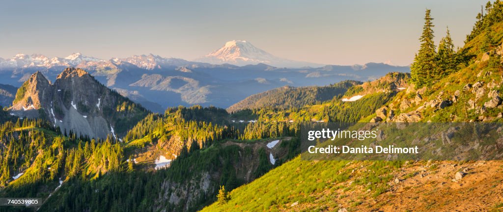 Panorama of Mt. Adams, Goat Rocks and Double Peak seen from Tamanos Mountain at Mt. Rainier National Park, Washington State, USA