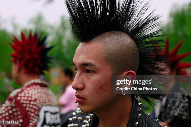 Punk Fans 2,507 Punk Fan Stock Photos, High-Res Pictures, and Images - Getty Images