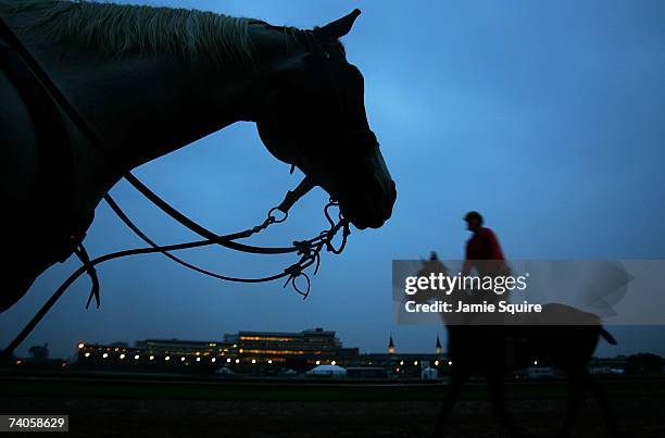 Horses run on the track during morning workouts for the 133rd Kentucky Derby on May 3, 2007 at Churchill Downs in Louisville, Kentucky.