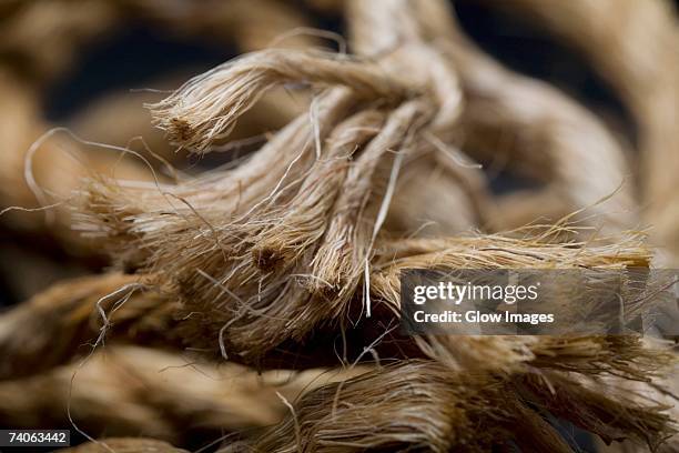 Frayed Rope Tree 219 Rope Fray Stock Photos, High-Res Pictures, and Images - Getty Images