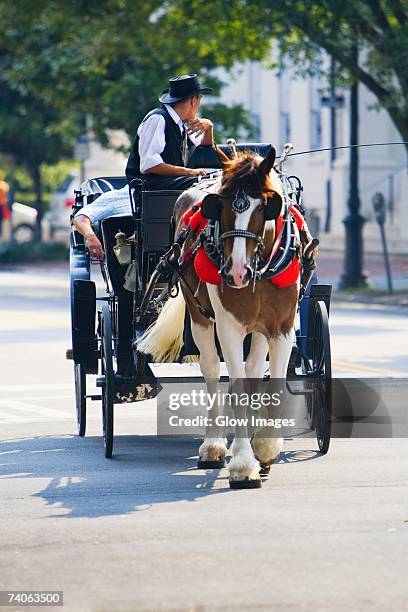 man riding a horse cart, savannah, georgia, usa - savannah georgia 個照片及圖片檔