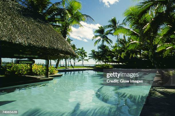 swimming pool in front of stilt houses, fiji - fiji hut stock pictures, royalty-free photos & images