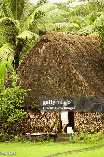 rear view of a woman standing at the door of hut, vanua levu, fiji - villagers stock pictures, royalty-free photos & images