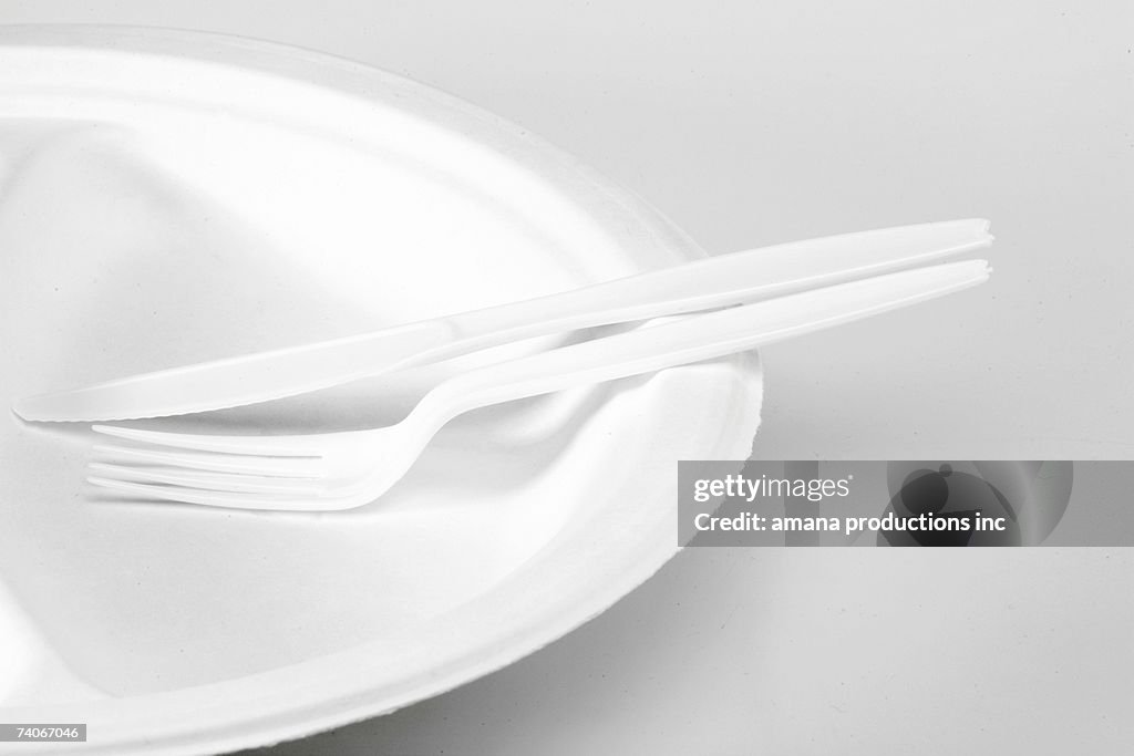 Disposable plate and cutlery (close-up)