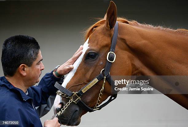 Joe Estrada tends to Kentucky Oaks hopeful, Rags to Riches, on the morning of the running of the Kentucky Oaks on May 4, 2007 at Churchill Downs in...