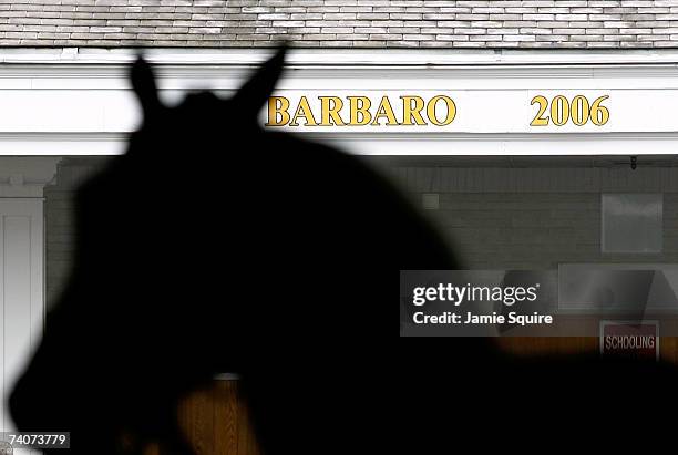 Tribute to the late Barbaro, winner of the 2006 Kentucky Derby, is seen on the Paddock as horses are lead back to the paddock area the day before the...