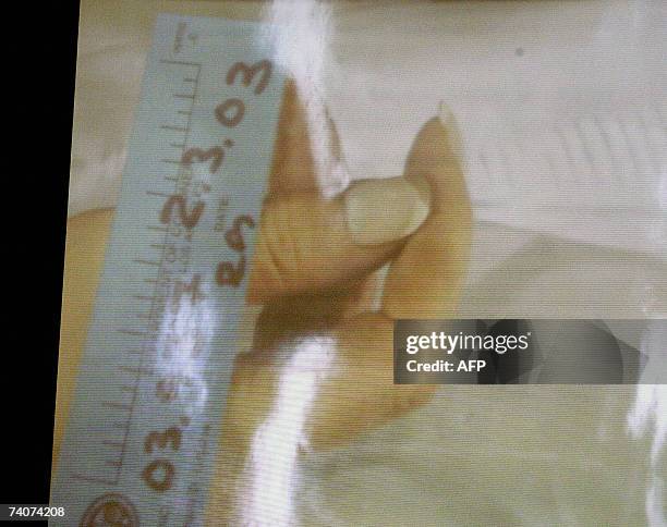 Los Angeles, UNITED STATES: A photograph of Lana Clarkson's hand taken after her death is projected on a screen during a hearing in the murder trial...