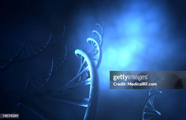 dna structure - low angle portrait studio stock illustrations