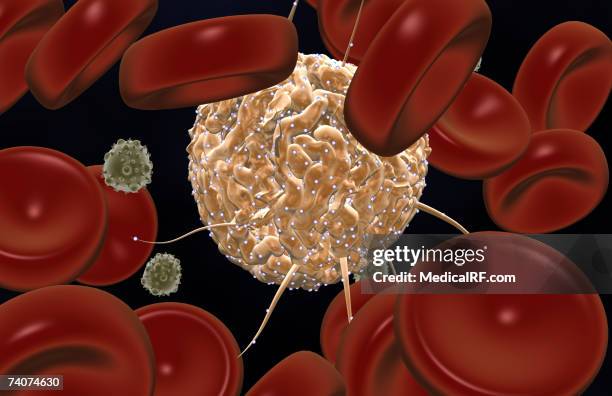 hematopoietic stem cells - stem cell stock illustrations