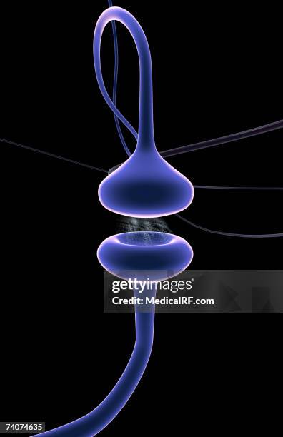 synapse - synapsenspalt stock-grafiken, -clipart, -cartoons und -symbole