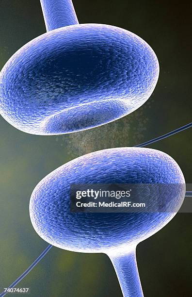 synapse - synapsenspalt stock-grafiken, -clipart, -cartoons und -symbole