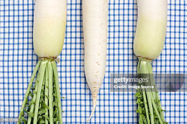 daikon - dikon radish stock pictures, royalty-free photos & images